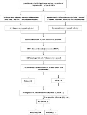 Association Between Atrial Fibrillation and the Risk of Cardiovascular Mortality Among Elderly Adults With Ischemic Stroke in Northeast China: A Community-Based Prospective Study